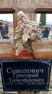 Захоронение ID 6366329