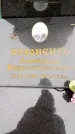 Захоронение ID 6366342