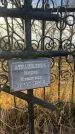 Захоронение ID 6366720
