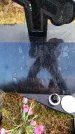 Захоронение ID 6366820