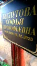 Захоронение ID 6366902