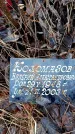 Захоронение ID 6367045