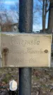 Захоронение ID 6367160
