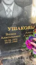 Захоронение ID 6367156