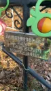 Захоронение ID 6367187