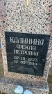 Захоронение ID 6367245