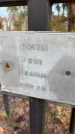 Захоронение ID 6367298
