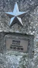 Захоронение ID 6367328