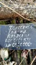 Захоронение ID 6367507