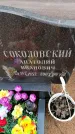 Захоронение ID 6367627