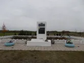 Братская могила 1895