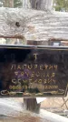Захоронение ID 6367658
