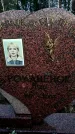 Захоронение ID 6367739