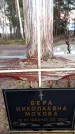 Захоронение ID 6367757