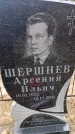 Захоронение ID 6367832