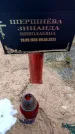 Захоронение ID 6367833