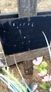Захоронение ID 6367911