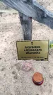 Захоронение ID 6367955