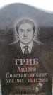Захоронение ID 6368042