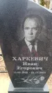 Захоронение ID 6368064