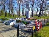 Братская могила 2014