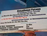 Русино