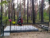 Братская  могила д. Грабово 3119