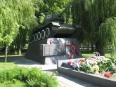 Братская могила 238