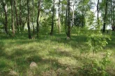 Погост
