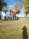 Братская могила 2041