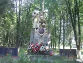 Братская  могила д. Вороны 4391