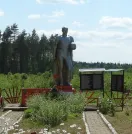 Братская могила 3110