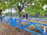Братская могила 3446
