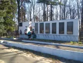 Братская могила 3646