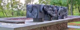 Братская могила 3593