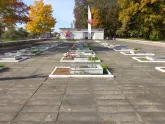 Братская могила 3667