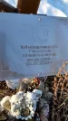 Захоронение ID 6368461
