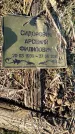Захоронение ID 6368644