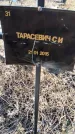 Захоронение ID 6368747