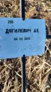 Захоронение ID 6368760