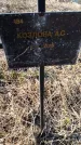 Захоронение ID 6368776