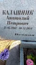 Захоронение ID 6368856