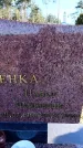 Захоронение ID 6368979