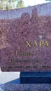 Захоронение ID 6368980