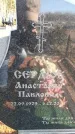 Захоронение ID 6368982