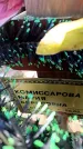 Захоронение ID 6369034