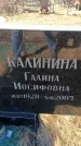 Захоронение ID 6369089