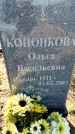 Захоронение ID 6369095