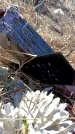 Захоронение ID 6369164