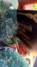 Захоронение ID 6369193
